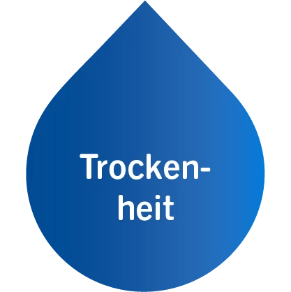 Haut Repair Creme bei Trockenheit